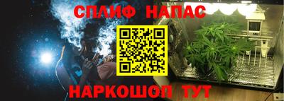 прущие крисы Дубна