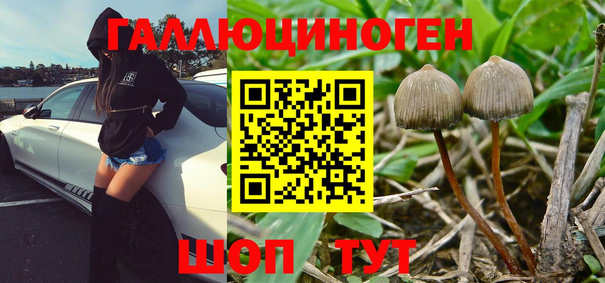 Новоалександровск  Галлюциногенные грибы Magic Shrooms  Галлюциногенные грибы Magic Shrooms  Вход с VPN 
